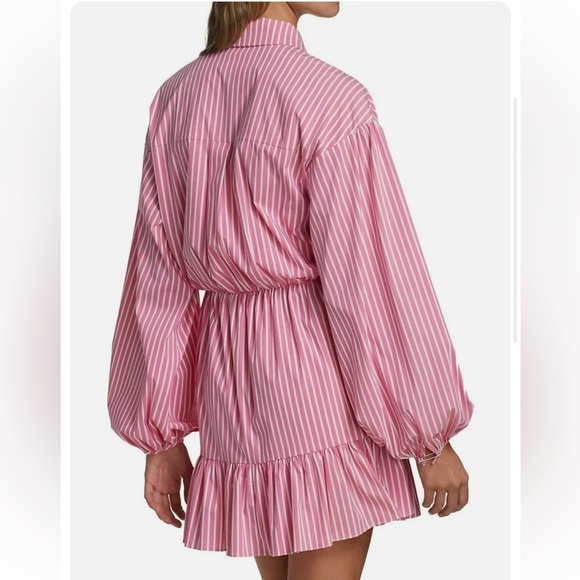 CINQ À SEPT Kelly Belted Pinstripe Dress - Picture 2 of 6